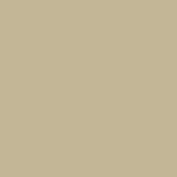 Dutch Boy® Platinum® Plus Interior Eggshell Antiquated Brass Paint