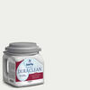 Dutch Boy® Dura Clean® Interior Flat White Paint + Primer - 1 gal.