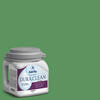 Dutch Boy® Dura Clean® Interior Eggshell Kelly Luster Paint + Primer - 1 gal.