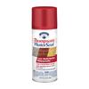 Thompson's® WaterSeal® Clear Multi-Surface Waterproofer Spray - 12 oz.