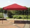 Guidesman™ 10' x 10' EasyLift™ Pop-Up Canopy