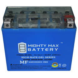 Mighty Max™ 270 CCA Gel Power Sport Battery at Menards®