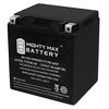 Mighty Max™ 12V 15Ah Automotive Battery