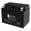 Mighty Max™ 12V 15Ah Automotive Battery