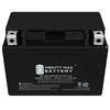 Mighty Max™ 12V 15Ah Automotive Battery