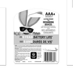 Energizer Rechargeable AAA Batteries (2 Pack) 800 mAh Triple A Batteries  NH12BP-2 - Best Buy