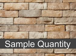 ClipStone® Tan Ledgestone Manufactured Stone Veneer Siding Sample at ...