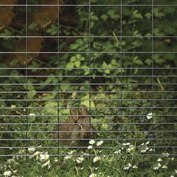 Menards rabbit hot sale hutch