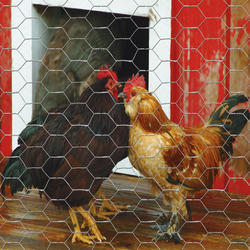 4' x 50' Galvanized Poultry Netting at Menards®