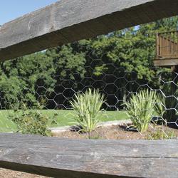 12 Pack: Galvanized Chicken Wire by Ashland®