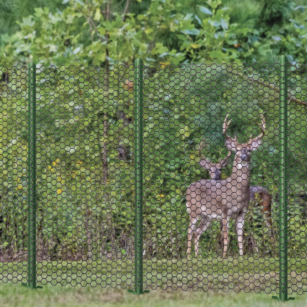 Excellent supplier product showcase