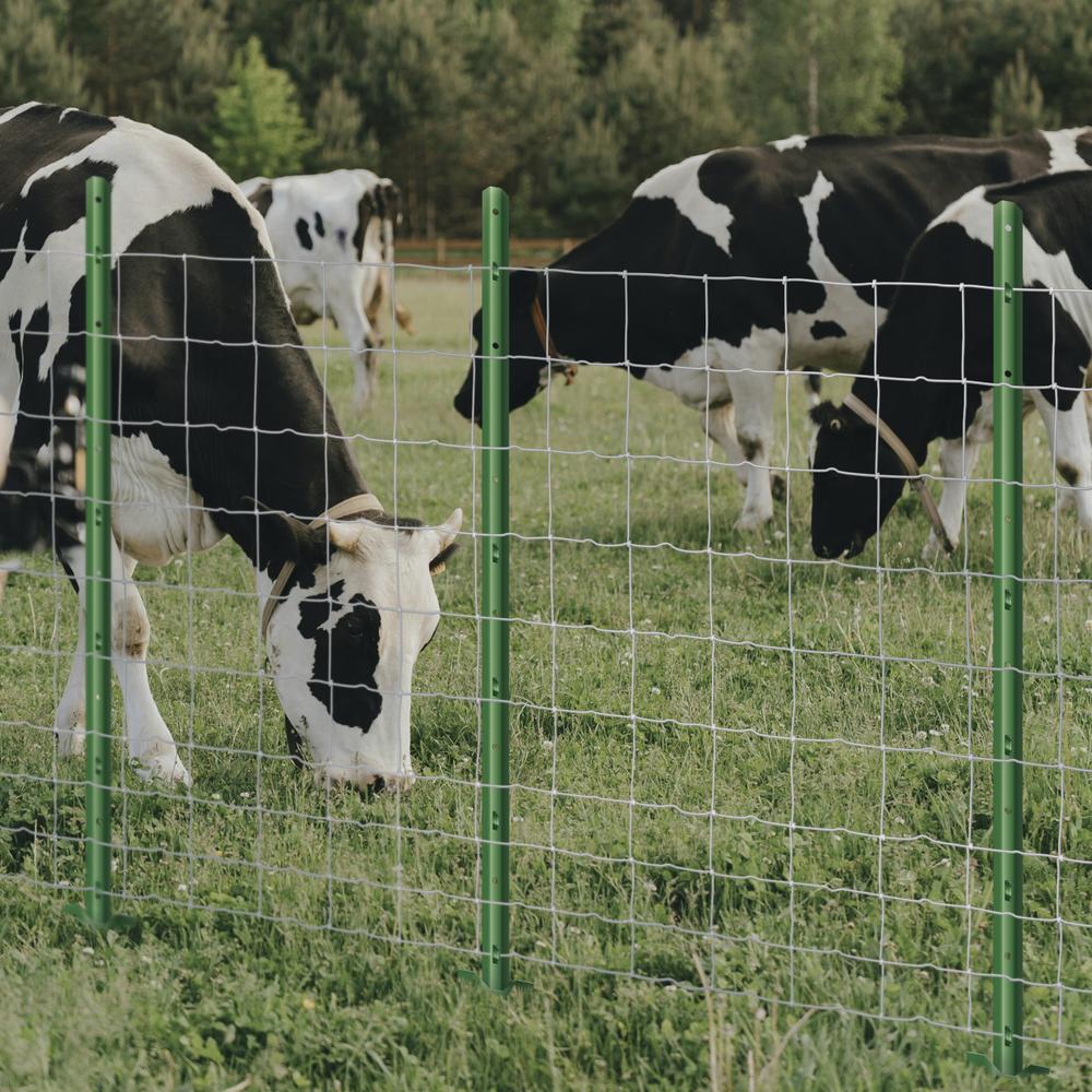 Excellent supplier product showcase