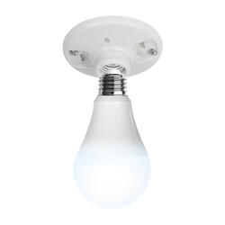 Light Bulbs at Menards®