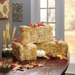 Pumpkin Porch Indoor & Outdoor Straw Bale, 25x25x5