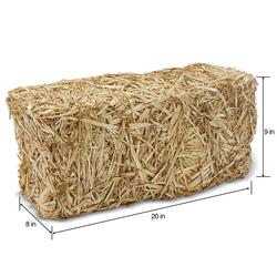 Pumpkin Porch Indoor & Outdoor Straw Bale, 25x25x5