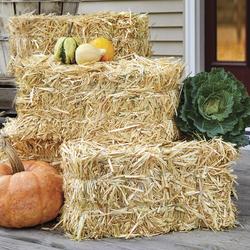 Pumpkin Porch Indoor & Outdoor Straw Bale, 25x25x5