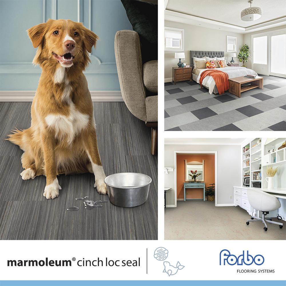 Forbo Marmoleum Cinch Loc Seal Lemon Zest 11.81 Forbo Marmoleum Cinch Loc Seal Lemon Zest 11.81