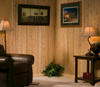 5/16" x 3-9/16" x 8' Cedar Tongue & Groove Wall Plank (14 sq. ft/pkg)