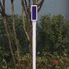 Patriot Lighting® Solar LED Driveway Marker Light