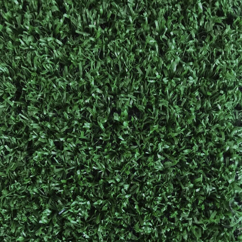Leisure Time 12-ft Plush Interior/Exterior Carpet Leisure Time 12-ft Plush Interior/Exterior Carpet