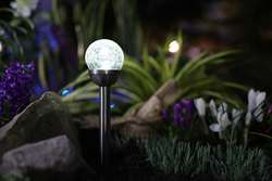 Patriot Lighting® Solar Integrated LED Mini Stainless Steel