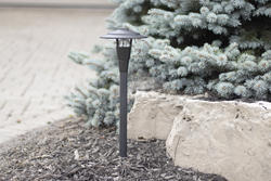 Patriot Lighting® Loretto Low Voltage LED Landscape Light at Menards®