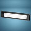 Patriot Lighting® Crowley Low Voltage LED Deck Landscape Light