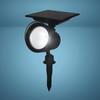 Patriot Lighting® Solar Integrated LED Landscape Flood Light