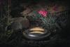 Patriot Lighting® Low Voltage Integrated LED Well Landscape Light