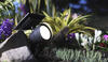 Patriot Lighting® Solar Integrated LED Landscape Flood Light