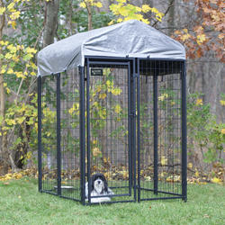 Menards 2024 dog house