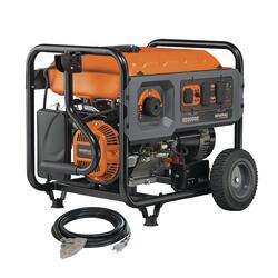 Generac® 8,000 Running 10,000 Starting Watt Gasoline Portable Generator ...