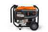 Generac® 8,000 Running 10,000 Starting Watt Gasoline Portable Generator
