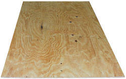 1 x 4 x 8 Plywood Sheathing