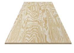 1/16 in. x 0.5 ft. x 0.3 ft. Pressure Treated Sanded Plywood DCIU