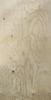 3/8 x 4 x 8 Plywood Sheathing