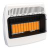 Dyna-Glo™ 30,000 BTU Dual-Fuel Vent-Free Infrared Wall Heater