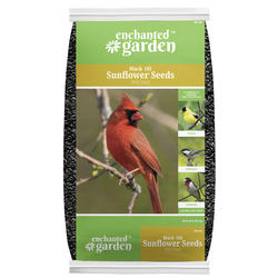 Enchanted Garden™ Black Oil Sunflower Seed Wild Bird Food 50 lb at