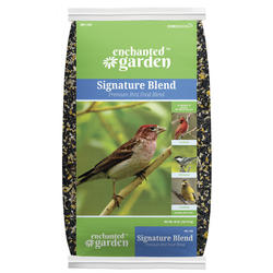 Bird Seed Buying Guide at Menards®