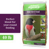 Enchanted Garden™ Wild Bird Food Seed Blend - 40 lb