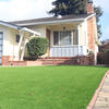 Global Syn-Turf ALLGREEN™ Star Grass 35 Emerald Green/Olive Green Indoor/Outdoor Turf 15 ft.