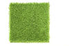 Global Syn-Turf ALLGREEN™ Star Grass 35 Emerald Green/Olive Green Indoor/Outdoor Turf 15 ft.