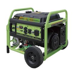 Green Power 10,500 Running 13,000 Starting Watt Dual Fuel Portable ...