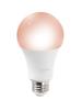 Sylvania® 60 Watt Equivalent Frosted A19 E26 Selectable Temperature Smart LED Light Bulb - 4 Pack
