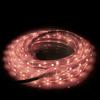 Patriot Lighting® 16' Plug-In LED Color-Changing Rope Light