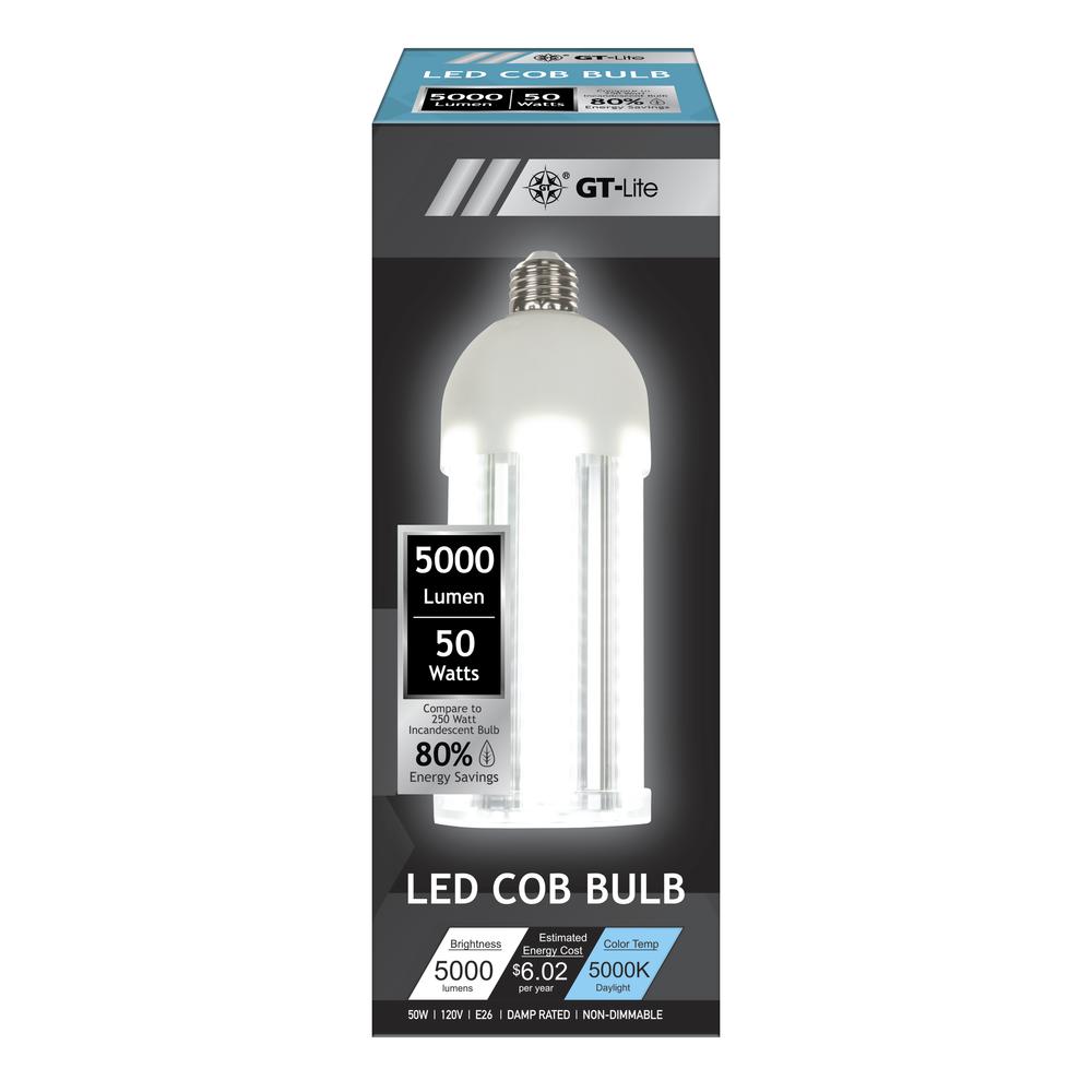 GT-Lite® 250 Watt Equivalent COB E26 Daylight LED Light Bulb at