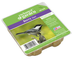 Enchanted Garden™ Berry Bird Suet Cake - 11.25 oz at Menards®