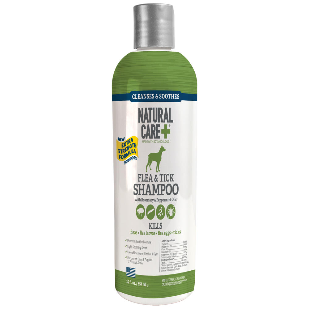 Natural flea shampoo for puppies best sale