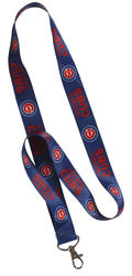 Best Chicago Cubs Ombre Lanyard