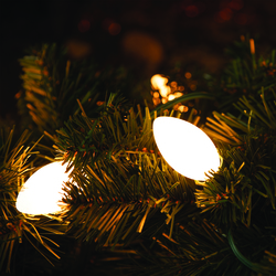 Enchanted Forest® 25-Light LED Vintage Warm White Ceramic C9